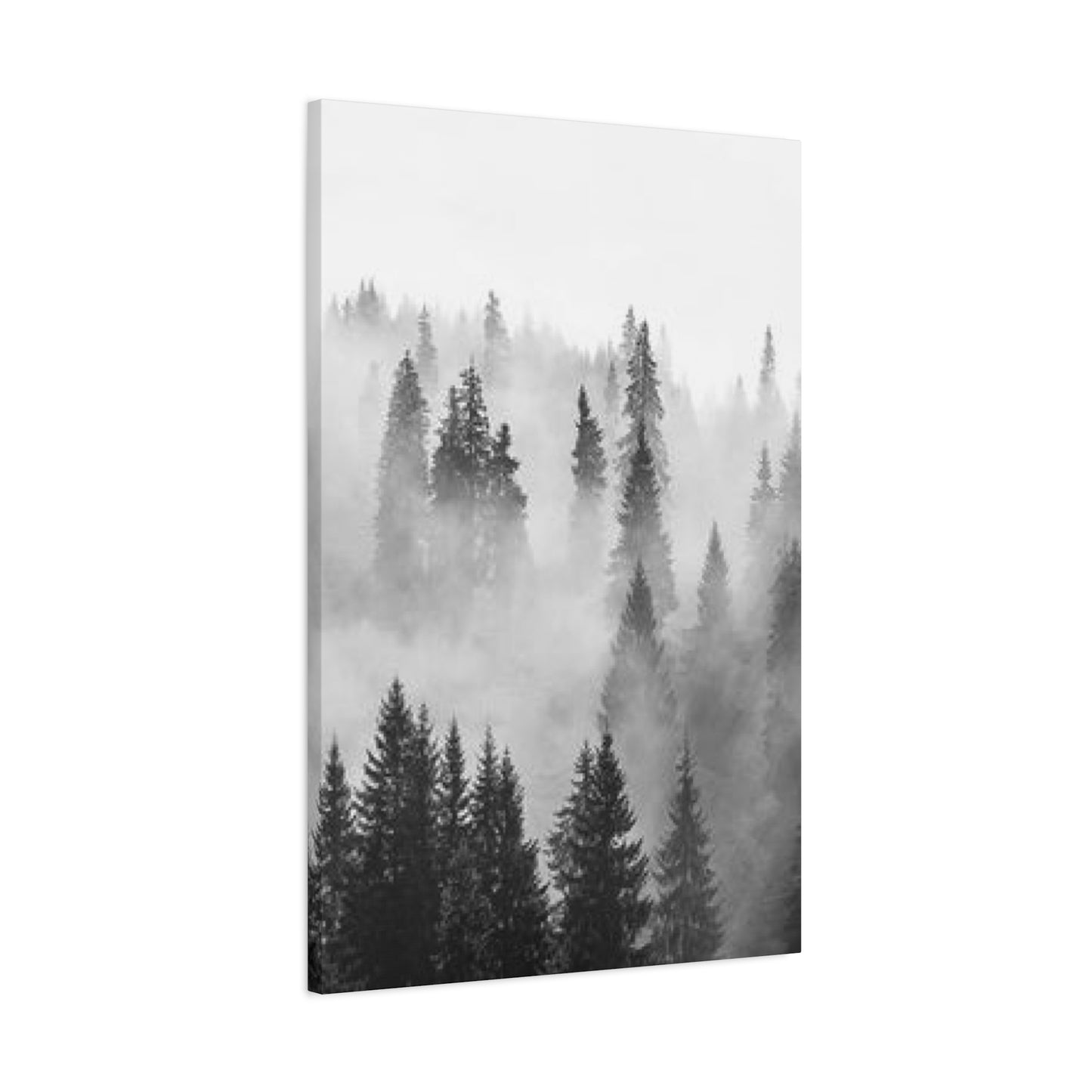 Black & White Fog Forest Fine Wall Art & Canvas Prints