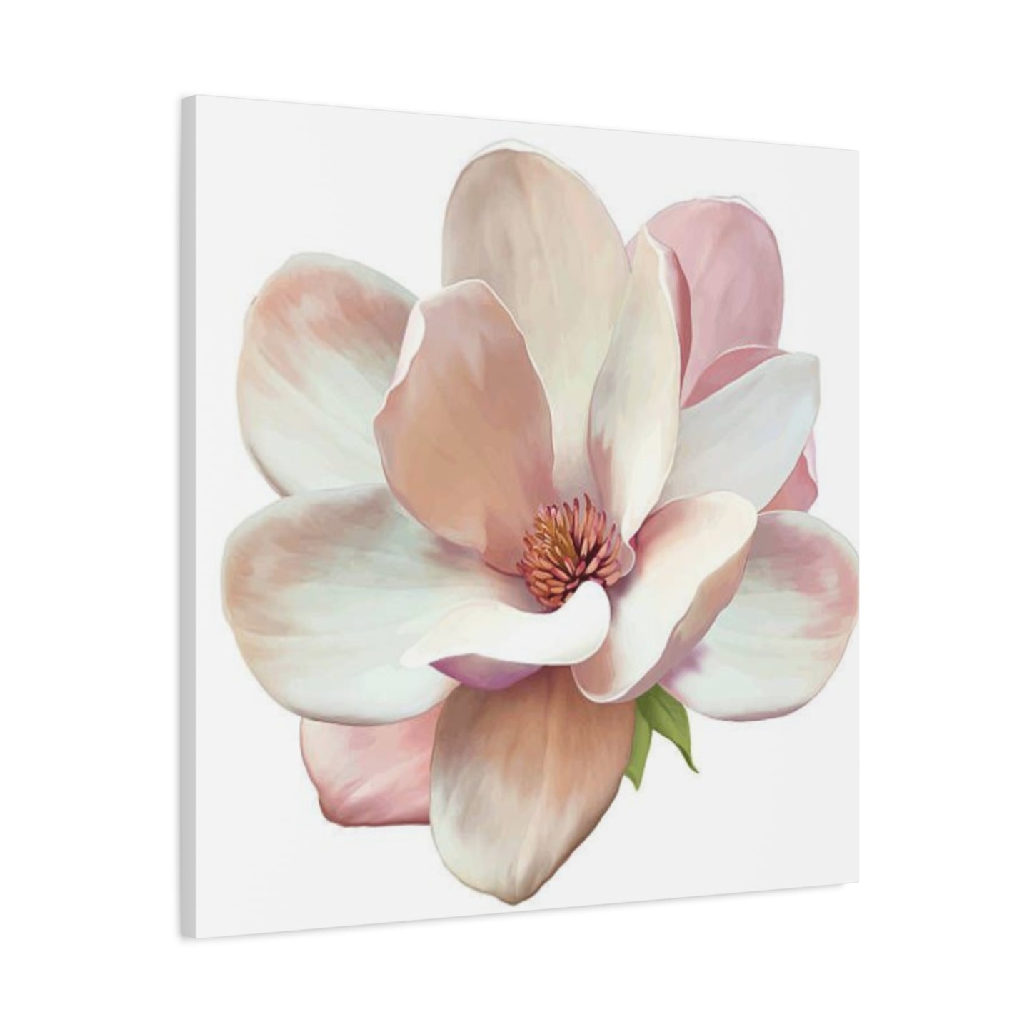 Pink Magnolia Flower Wall Art & Canvas Prints