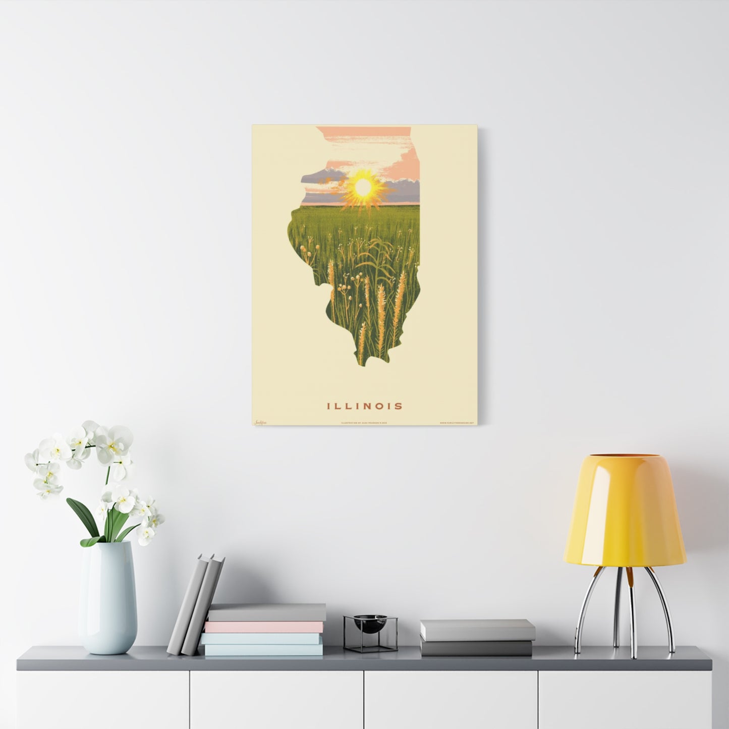 Illinois The National Park Wall Art & Canvas Prints