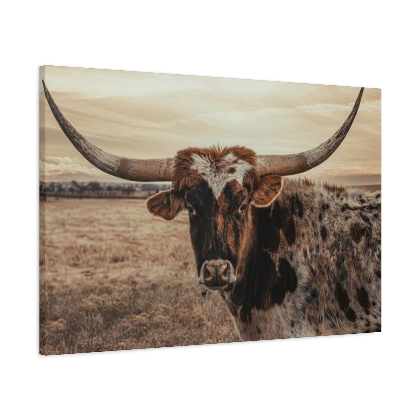 Wild Straight Long Horn Wall Art & Canvas Prints