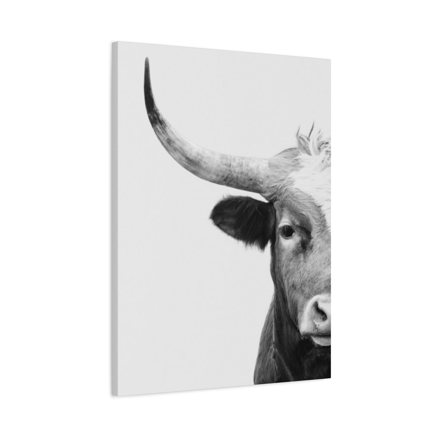 Bull Longhorn Photography Wall Art & Canvas Prints