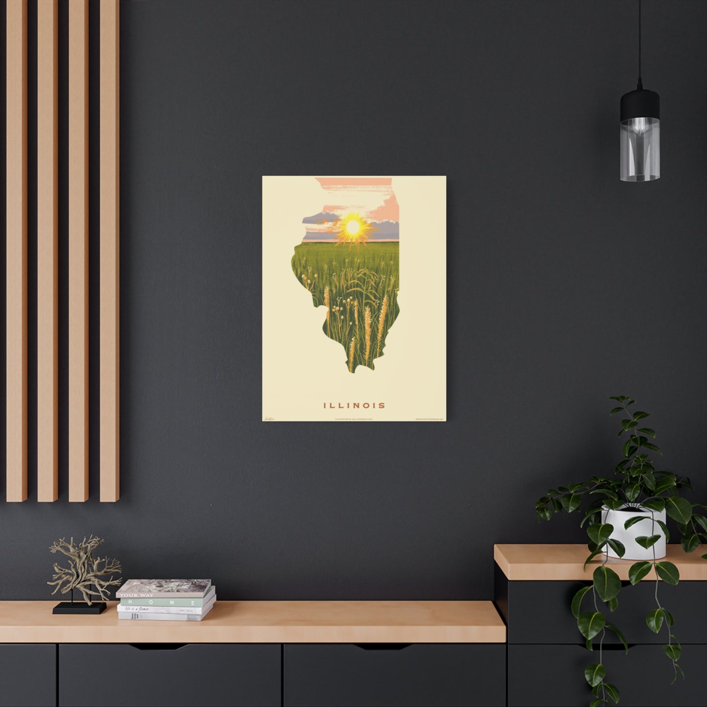 Illinois The National Park Wall Art & Canvas Prints