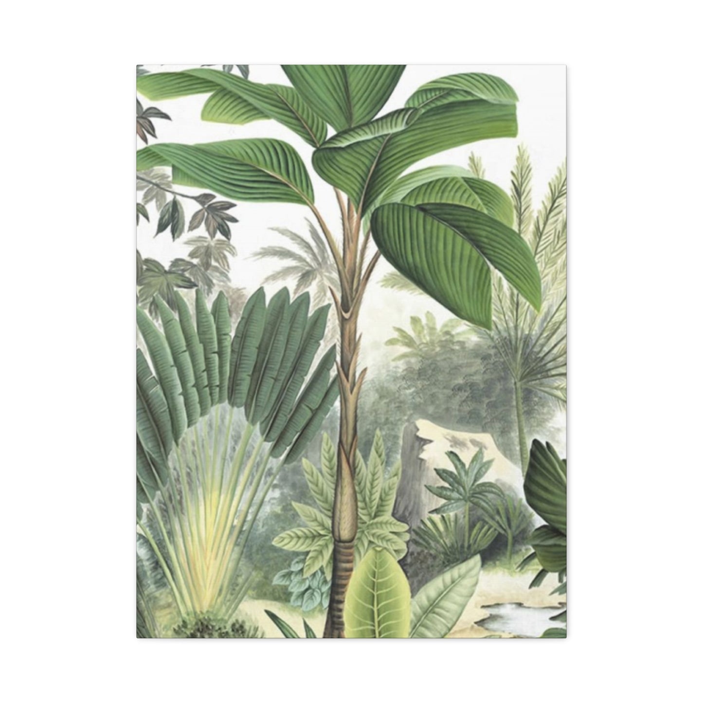 Palm Tree Green Leaves In Forest Wall Art & Canvas Prints