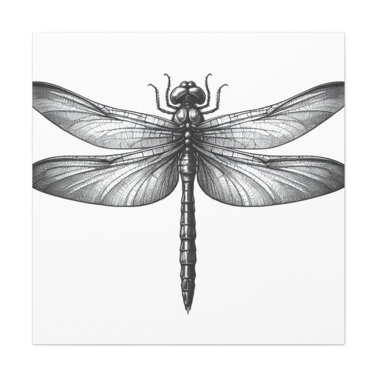 Top of Black Dragonfly Wall Art & Canvas Prints