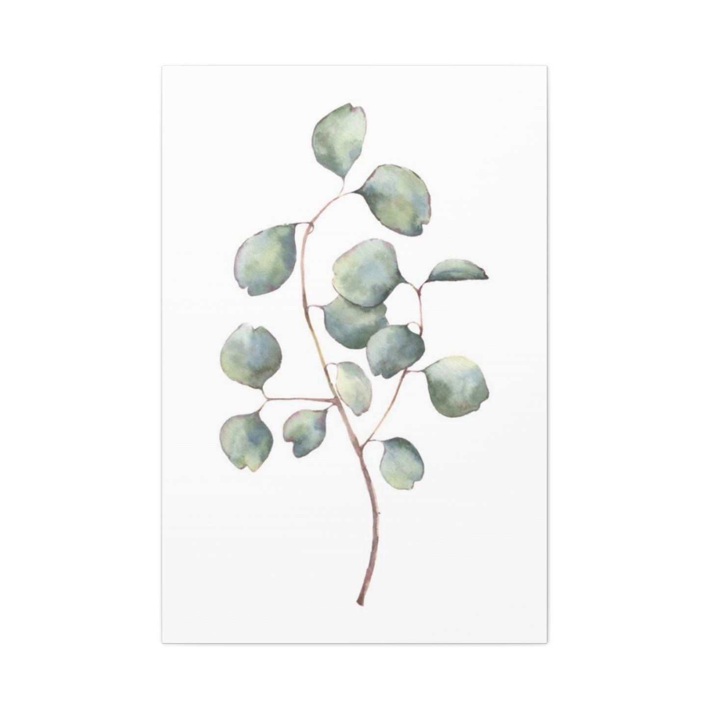 Eucalyptus Stem Wall Art & Canvas Prints