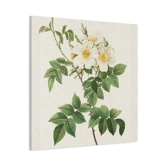 White Flower Wall Art & Canvas Prints