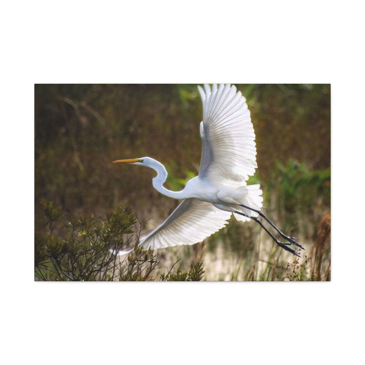 Flying Heron Wall Art & Canvas Prints