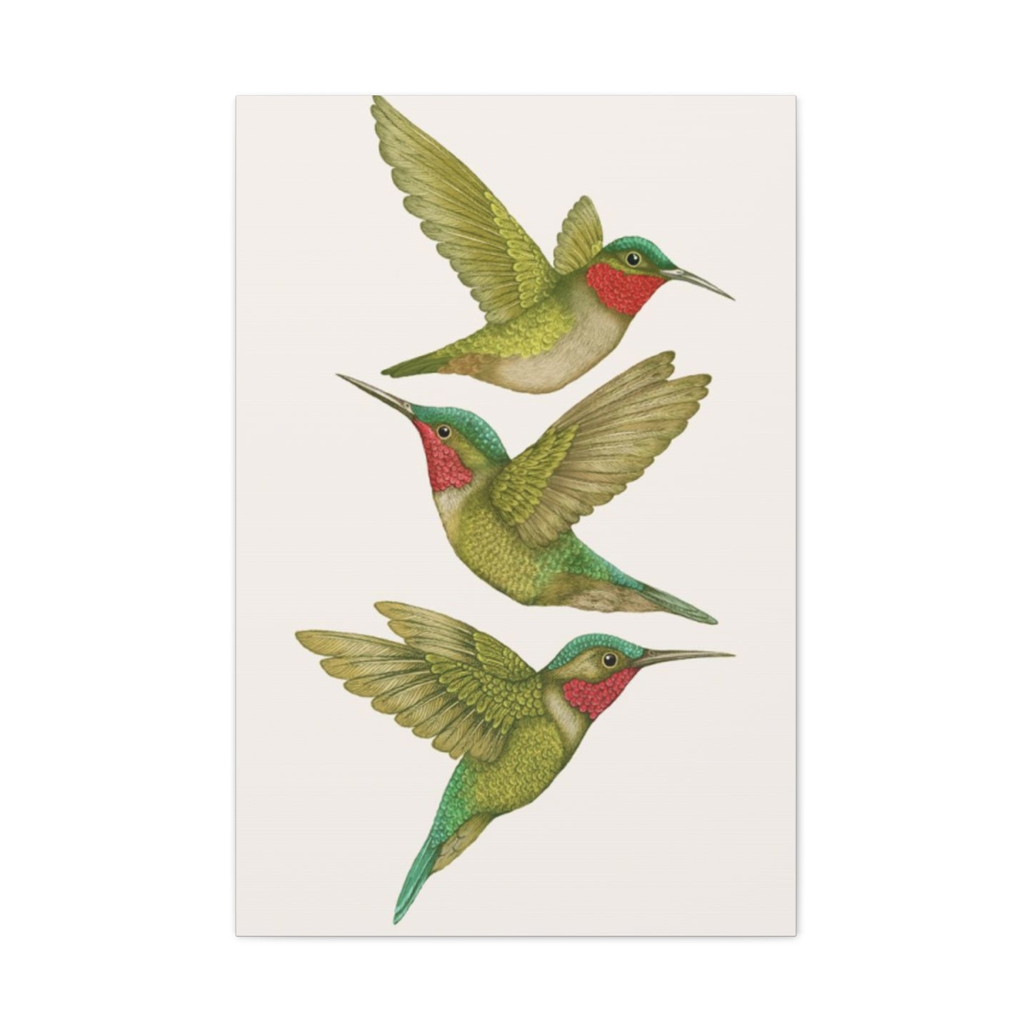 Three Green Humming Bird Painting Wall Art & Canvas Prints