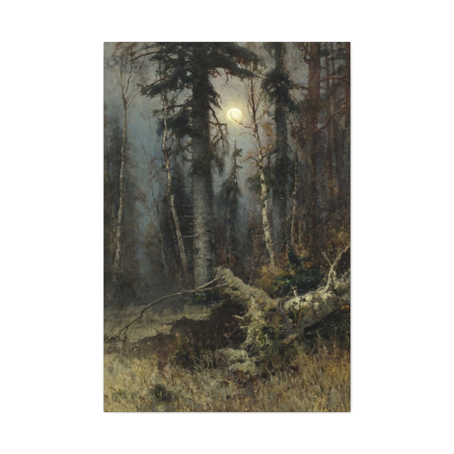 Full Moon Forest Wall Art & Canvas Prints