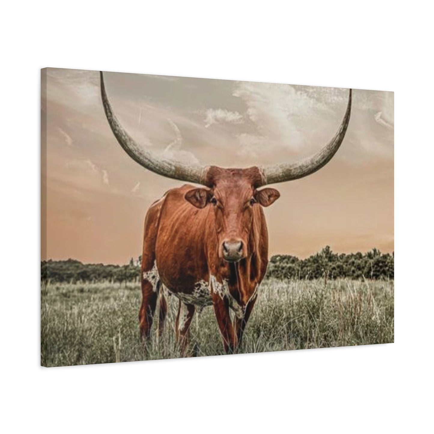 Hairy Buffalo U Shaped Long Horns Wall Art & Canvas Prints